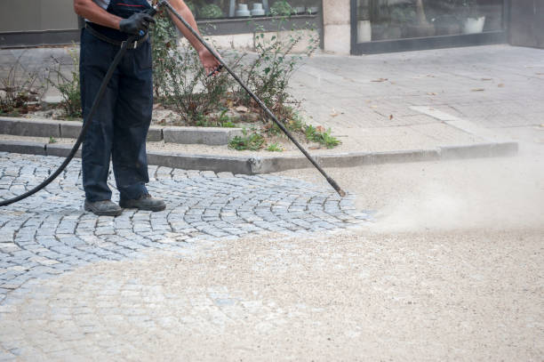 Best Gutter Cleaning  in Granger, IN